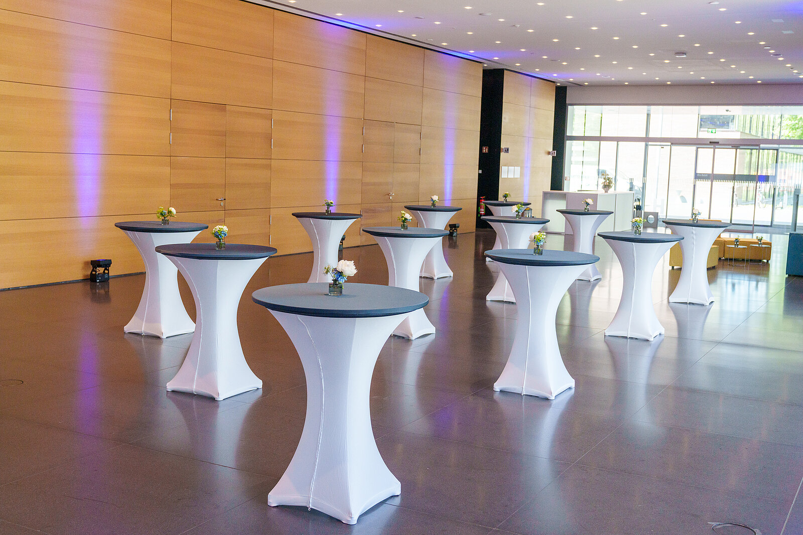 Foyer: Blick Richtung Eingangstür.